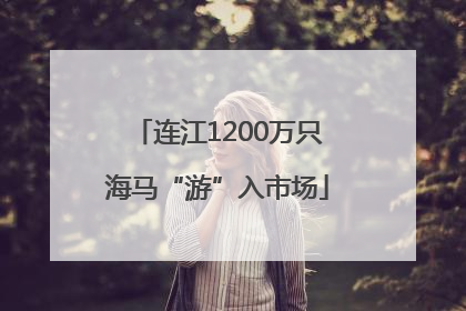 连江1200万只海马“游”入市场